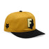 GORRA FOX SHADOW SNAPBACK